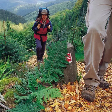 בית נופש In Unweit Vom Skigebiet וילינגן