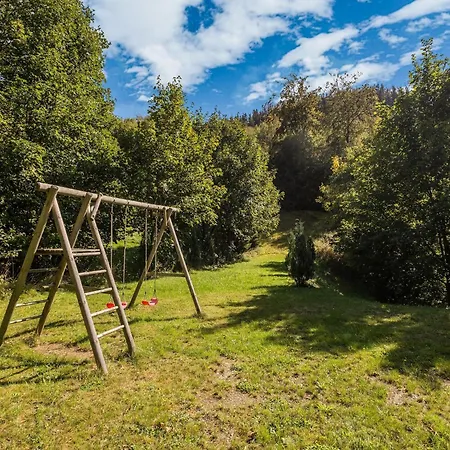 In Unweit Vom Skigebiet *