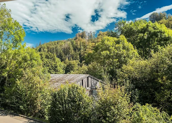 Casa de Férias In Unweit Vom Skigebiet Willingen (Upland)
