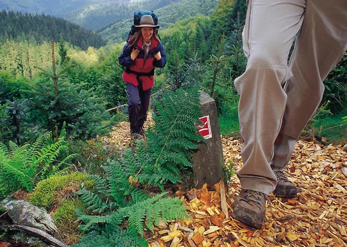 Casa de Férias In Unweit Vom Skigebiet Willingen (Upland)