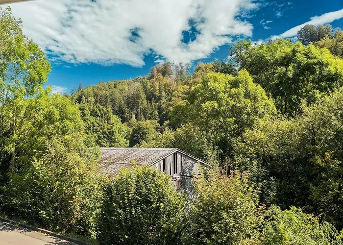 Casa de Férias In Unweit Vom Skigebiet Willingen (Upland)